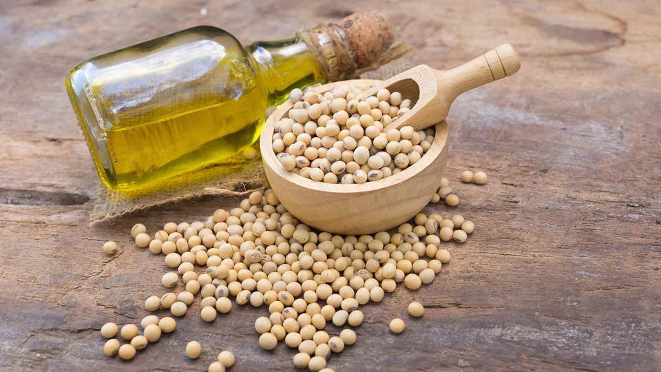 Lecithin