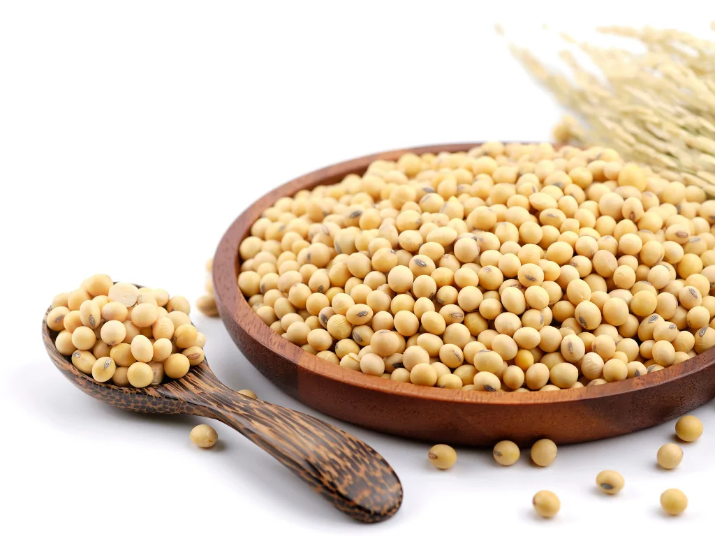 Soy protein