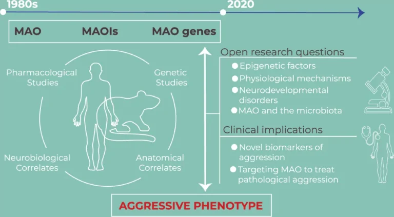 Another Aggression And Gene Link Found In Men Aggression And Gene